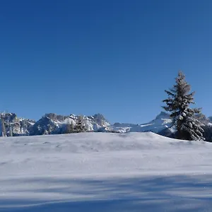 appartamenti-regina-dolomitissime.hotelinveneto.com/